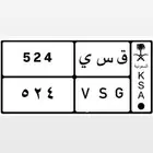 لوحة ق س ى 524