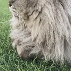 ذكر عمره سنه لعوب طيب نظيف