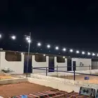 اسطبل للإيجار اليومي بسعر رمزي
