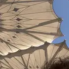 شقه ايجار دور ارضي او بيت في اي منطقه