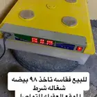 فقاصة