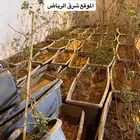 احواض زراعية جاهزه للزراعه