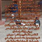 حمام قطيفي قلاب اصايل