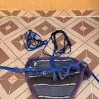 أغراض خيل