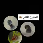 3 أنواع حلزون المائي