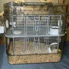 سامستر سوري للبيع