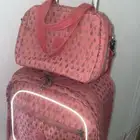 شنطة كيبلينج