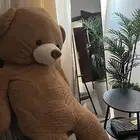 دبدوب من فلاورد للبيع
