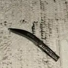 جنبيه