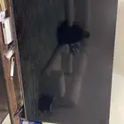 شاشه للبيع