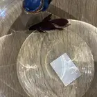 سمك فايتر