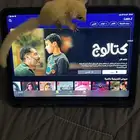 شوقر قلايدر او السنجاب الطائر
