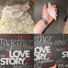 فرخ كروان لاتينو