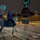 ر نشيل حصانك بسرجه ونوديه لك الوادي وتستلمه ونرجعه