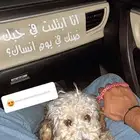 مالتيز