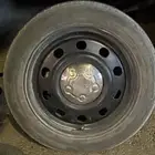 جنوط فورد بوليسي