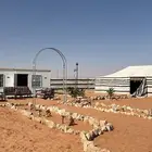 مخيم هداج ( تأجير)