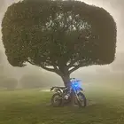 دبابين للبيع العاجل