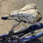 دراجه أو سيكل للبيع