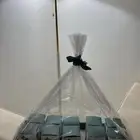 توزيعات يوم الوطني