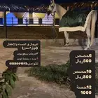 تدريب ركوب الخيل