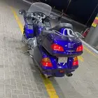 قولد وينق 2003 اللون بنفسجي