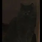 البس ذكر عمره سنة