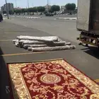 زل ملكي جديد قفاري