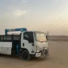 دينا مشاوير