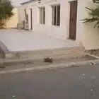حوش للايجار
