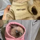 قط هملايا