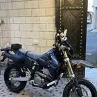 ديار 2024