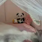 عندي قطه للتزاوج