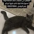 الي يلقاها يتواصل مع الرقم الموجود الله يرضى عليكم