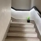 مطلوب شقة