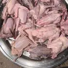 زغاليل للبيع