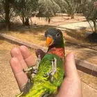 لوري اليف متكلم