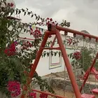 استراحة للايجار ريفيه في الرميدة