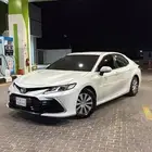 الرياض