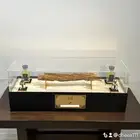 هدايا بوكسات عوده عطور