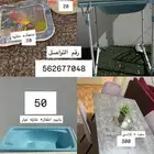 طاوله طعام 4 كراسي واغراض اطفال
