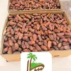 صافي