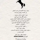 مربط الكحيله للايواء