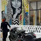 مطلوب كفر ريس خلفي