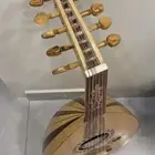 عود مصري