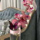 هديه سمكة الفايتر