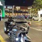 قولد وينق