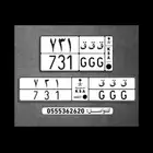 لوحة مميزة مكررة للبيع