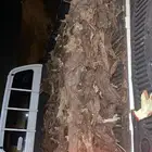 للبيع باب صندوق