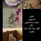 تبني